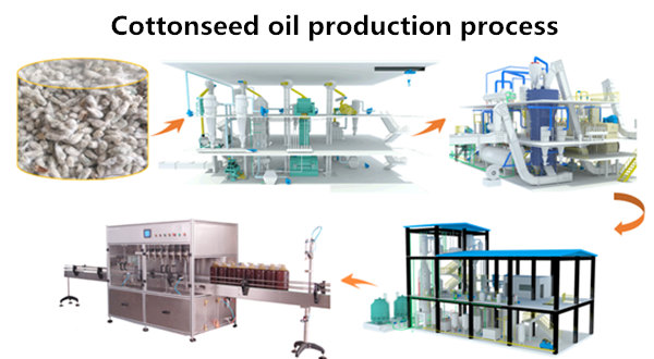 Cottonseed Oil Extraction Machine