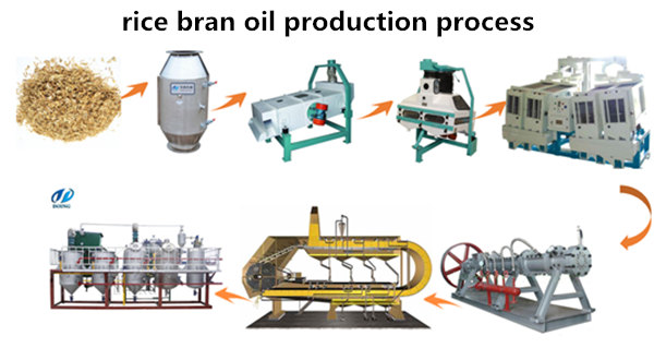 Rice Bran Oil Extraction Machine