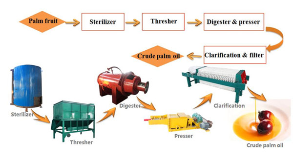 Palm Oil Extraction Machine